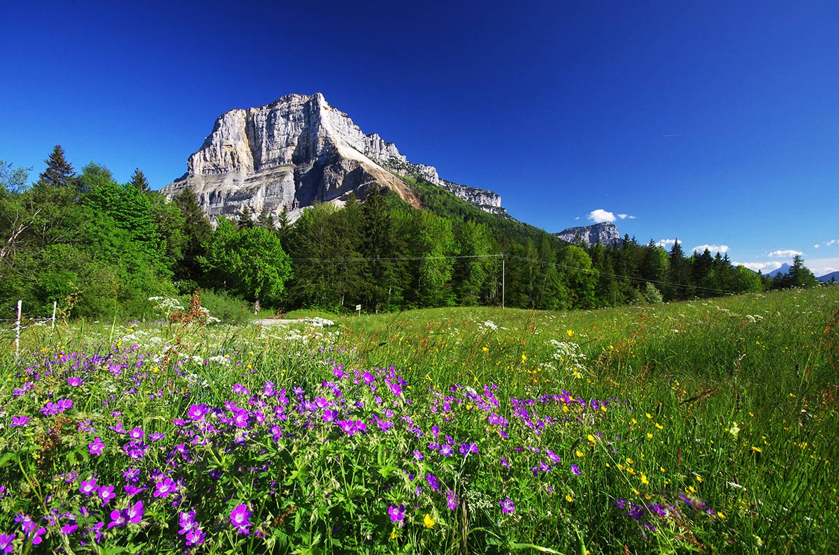 Massif de la Chartreuse