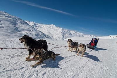 les 3 Vallées chiens de traineaux