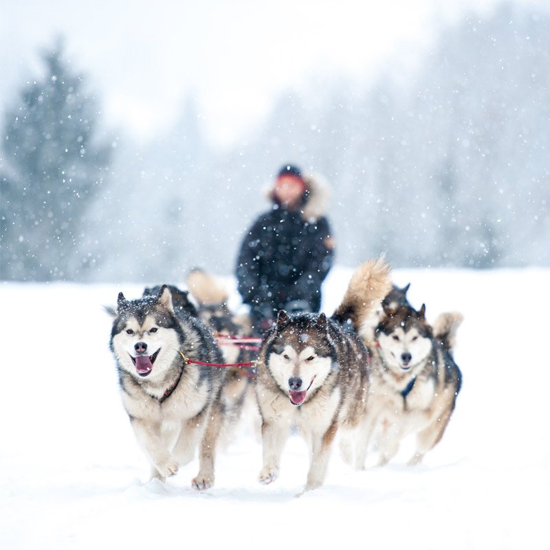 activités hors ski alpes du sud