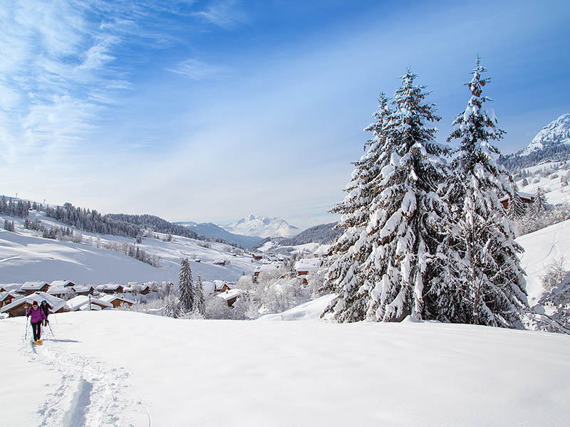 station ski famille grand bornand