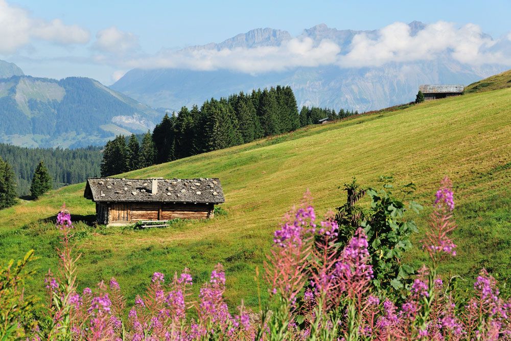 vacances Alpes été Les Saisies