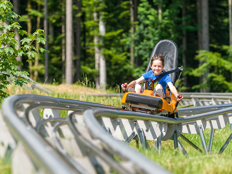 Luge sur rail