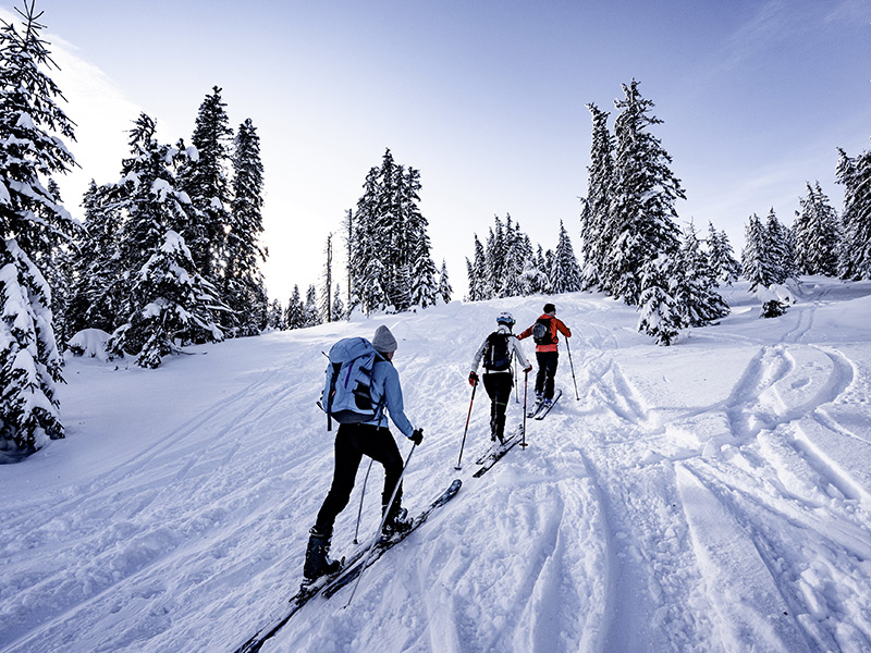 Ski de randonnée en montagne